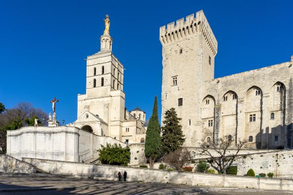 Avignon Cathedral