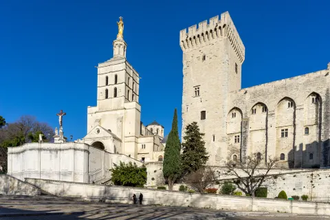 Avignon Cathedral