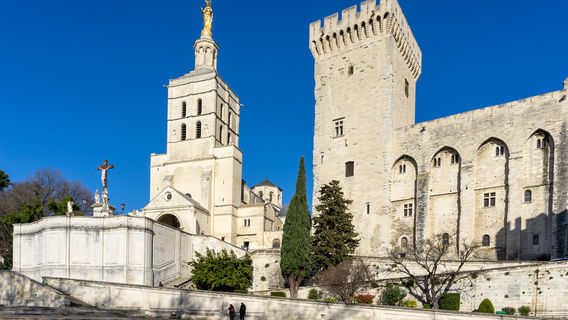 Cathédrale Notre-Dame-des-Doms d'Avignon