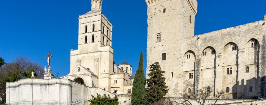 Avignon Cathedral