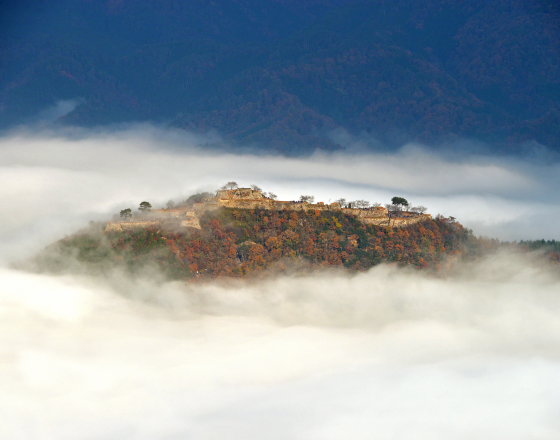朝來市 自由行套票
