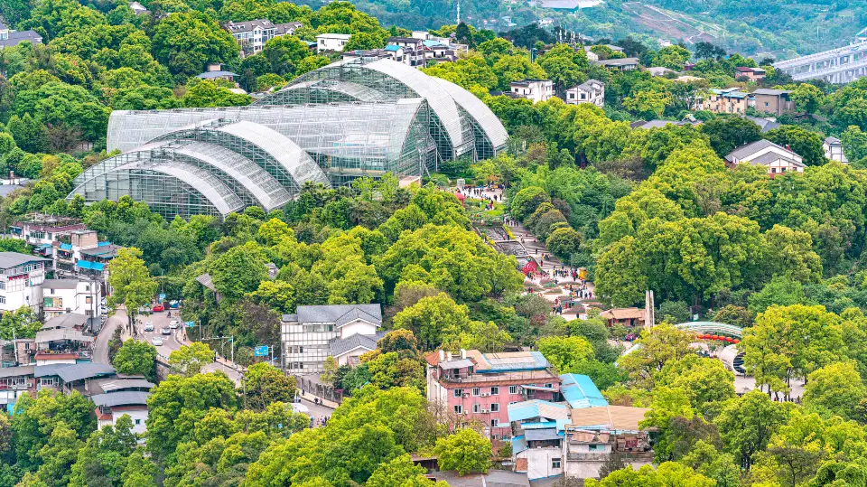 1_重慶南山植物園