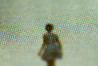 Astrid Jahnsen. Two hundred grams | Museo de Arte de Lima