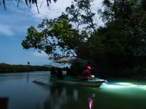 Top 10 Night Attractions in Philippines