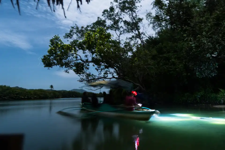 4_Bohol