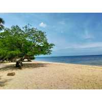 The Virgin Beach With Fantastic Scenery