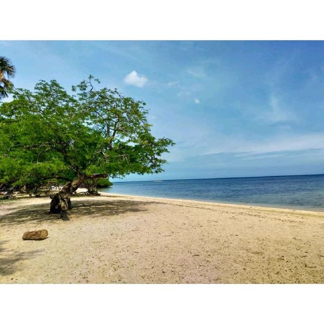 The Virgin Beach With Fantastic Scenery