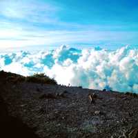 The Sacred Volcano Merapi