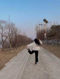 양평에서 '일본' 여행하기