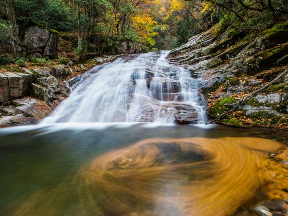 Micang Mountain National Forest Park