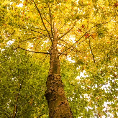 2-звездочные отели в г. Анту