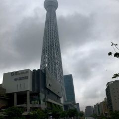 天空LOUNGE TOP of TREE張用戶圖片