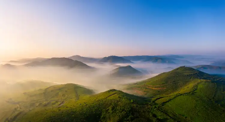 鄰近錦鱗一族名貴觀賞魚水族器材的酒店