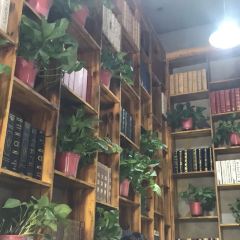 37°鲜港纸包鱼 User Photo