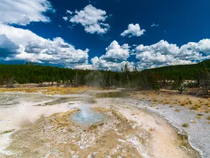 Thumb Geyser