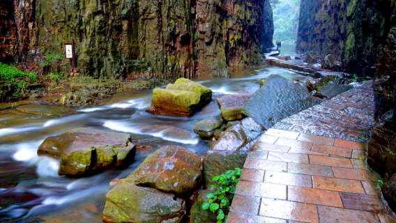 shui wang gao chu liu