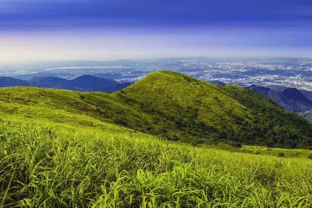 Отели с услугой баром в г. Дунгуань