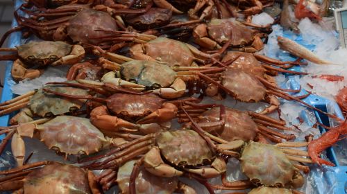 Fishmarket in Bergen