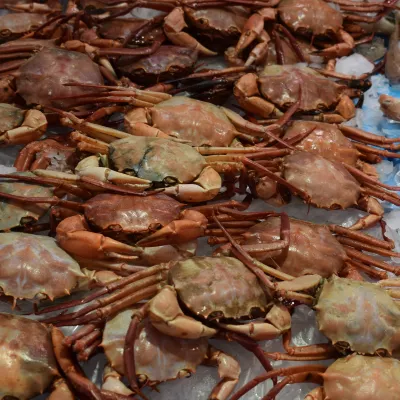 Отзывы об отеле Enter Amalie Hotel