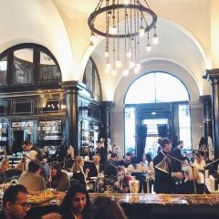 The Wolseley User Photo