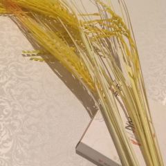 长沙五一广场延年神禹酒店·荟享餐厅 User Photo