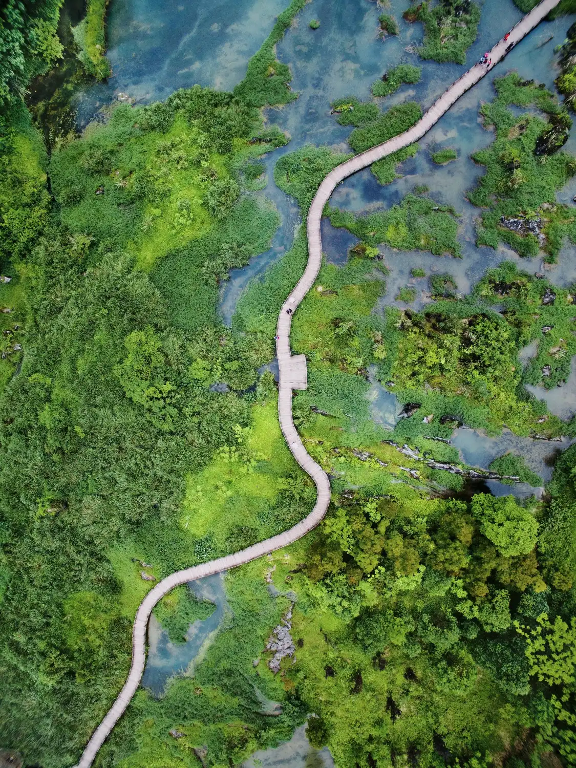 Hotels near Cuigu Wetland