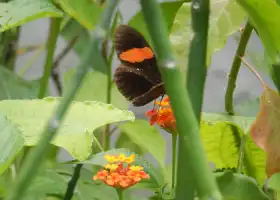 大荔新茂天地源生態養殖家庭農場