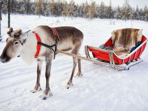 Ewenki Reindeer Park