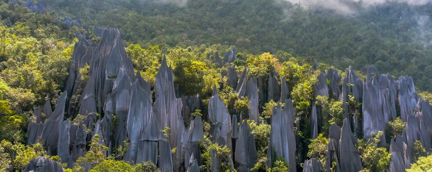 Pinnacles