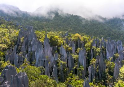 The Pinnacles