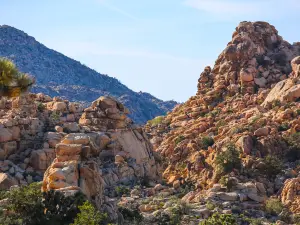 Joshua Tree National Park