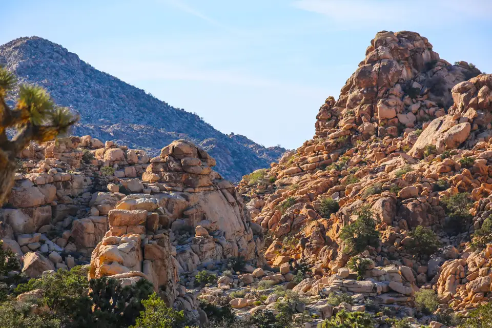 5_Joshua Tree National Park