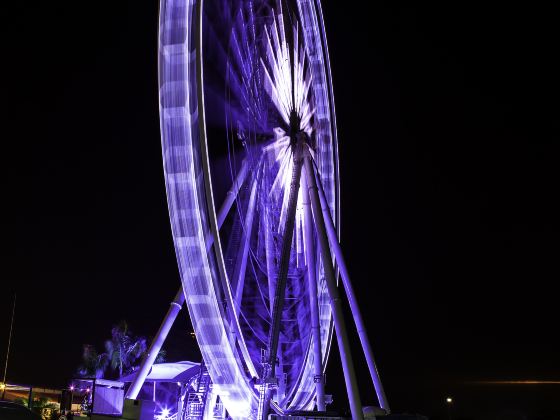 Asiatique Sky