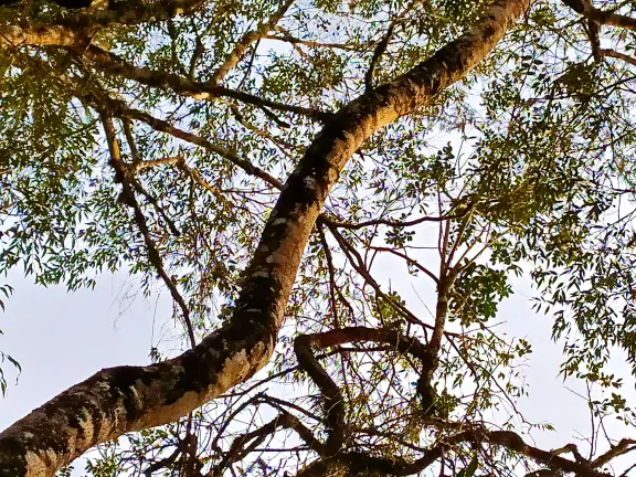 Отзывы об отеле Baan Pila