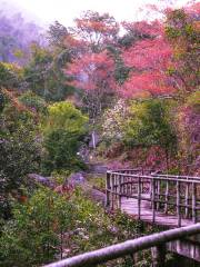 Mt. Qishan National Forest Park