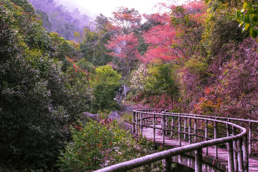 Qishan National Forest Park