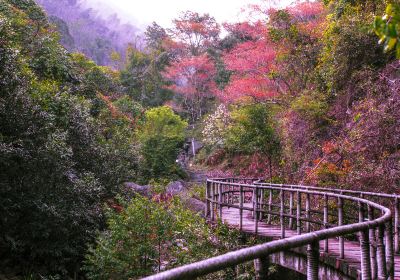 旗山国家森林公園