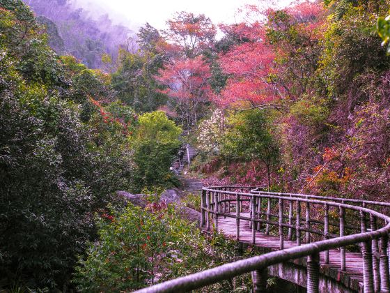 Qishan National Forest Park