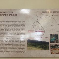 Honolulu Coffee at Moana Surfrider User Photo