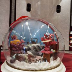 ENCLAVE EIGHT User Photo