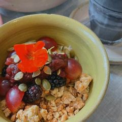Zamia Cafe User Photo