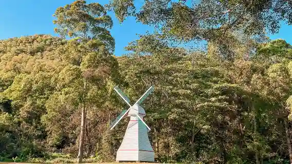 中山泉眼溫泉+中山影視城一日@穿越古今@暢泡+溫泉+含自助餐