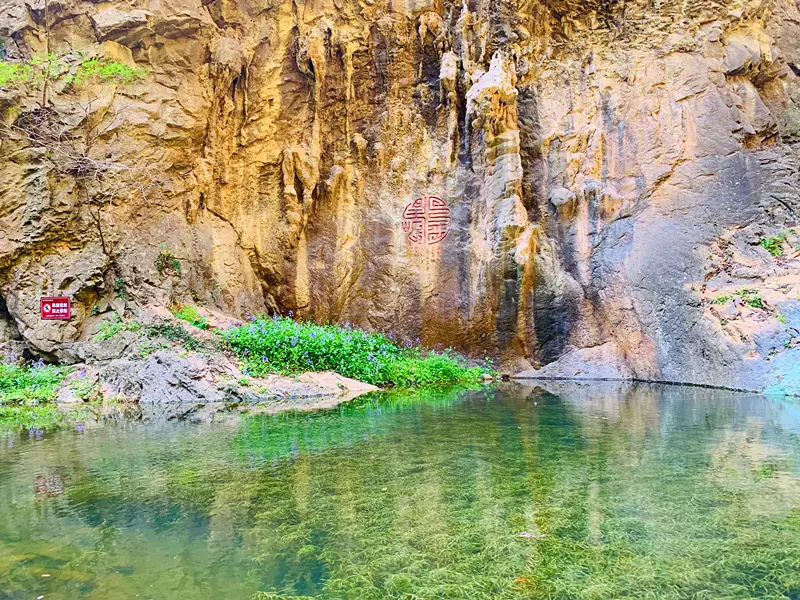 鹿苑康養小鎮