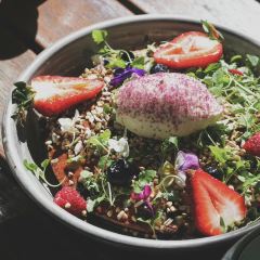 Top Paddock張用戶圖片