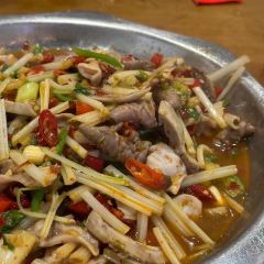 Binggepaojiaotu (meiyizhong) User Photo