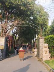 Landscape Plant Specimen Garden, Jiaotong University Minhang Campus