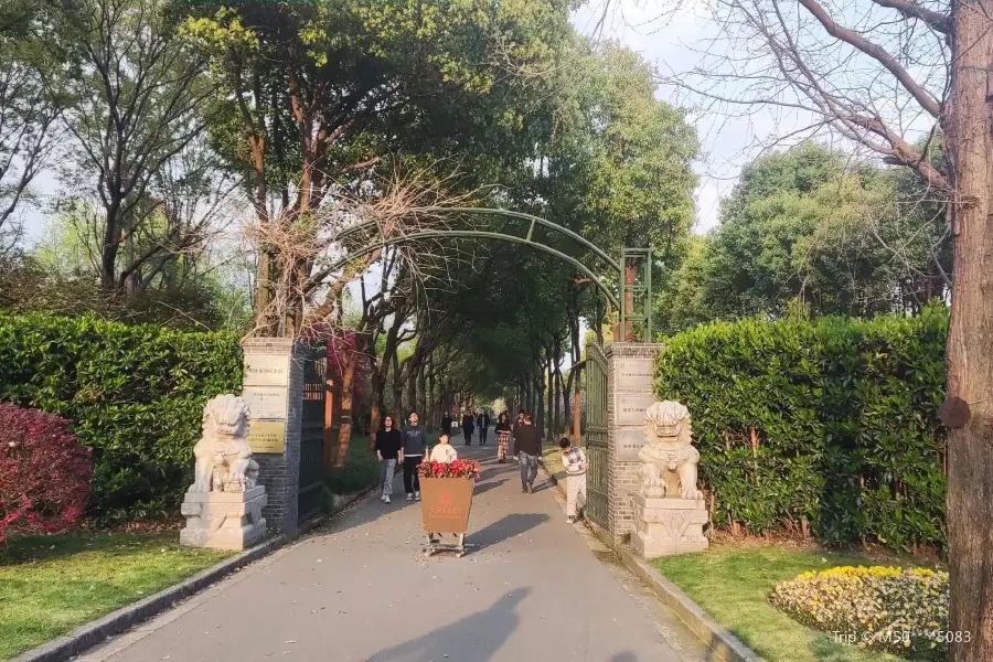 Landscape Plant Specimen Garden, Jiaotong University Minhang Campus