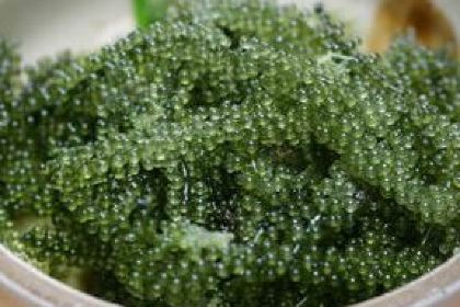 Okinawa Tonkatsu Shokudo Shimabutaya Kumoji