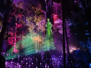 蘭卡威夢幻森林