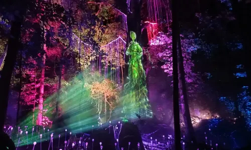 Dream Forest Langkawi